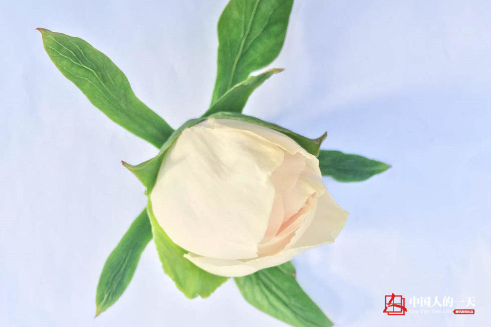 й˵һ2743ڣпԺŮѧиĵ
