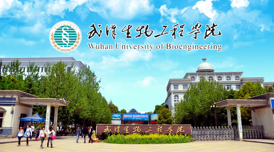 武汉生物工程学院2017年教师招聘,高层次人才招聘